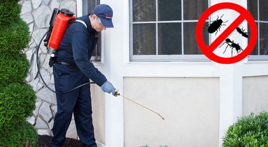 Çatalzeytin Bit İlaçlama böcek ilaçlama ve haşere kontrolü — ilaclama-tr.com
